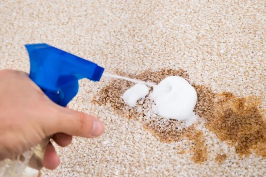 Cách Giặt Thảm Lông Tại Nhà