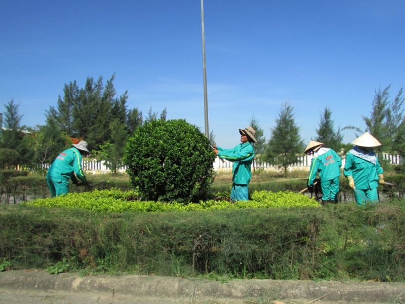 Dịch vụ chăm sóc cắt tỉa tạo dáng cho cảnh quan