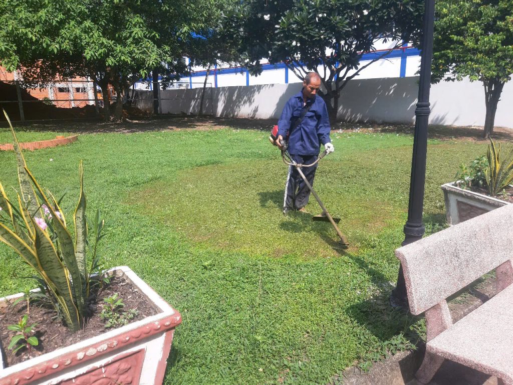 Dịch vụ Chăm sóc Cảnh quan